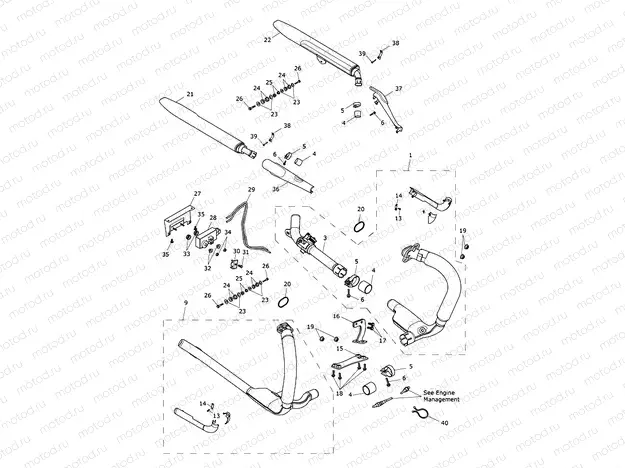 Exhaust System