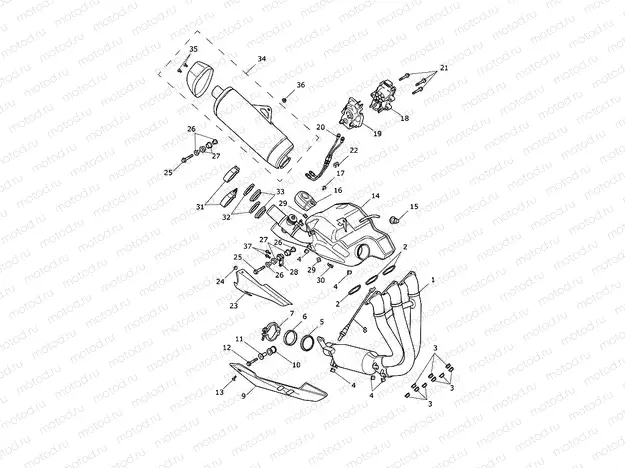 Exhaust System