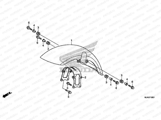 F-10-1 FRONT FENDER (VT750C2B)