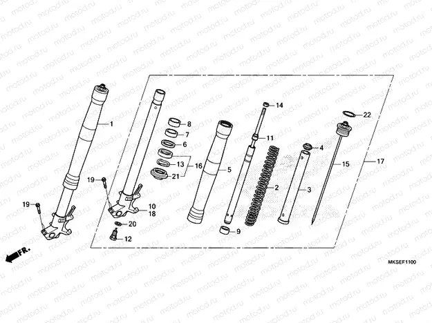 F-11 FRONT FORK