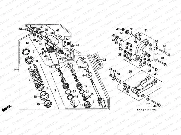 F-17-2 REAR SHOCK ABSORBER (3)