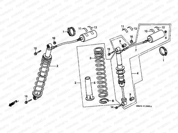 F-19 REAR SHOCK ABSORBER