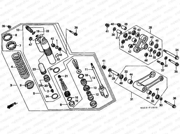 F-19 REAR SHOCK ABSORBER
