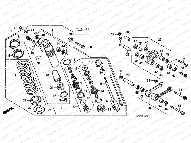 F-19 REAR SHOCK ABSORBER