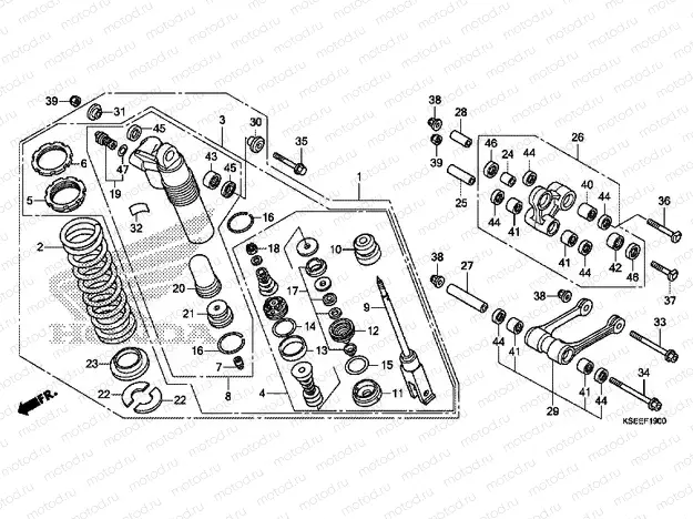 F-19 REAR SHOCK ABSORBER