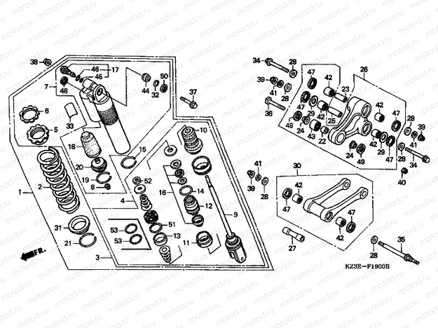 F-19 REAR SHOCK ABSORBER