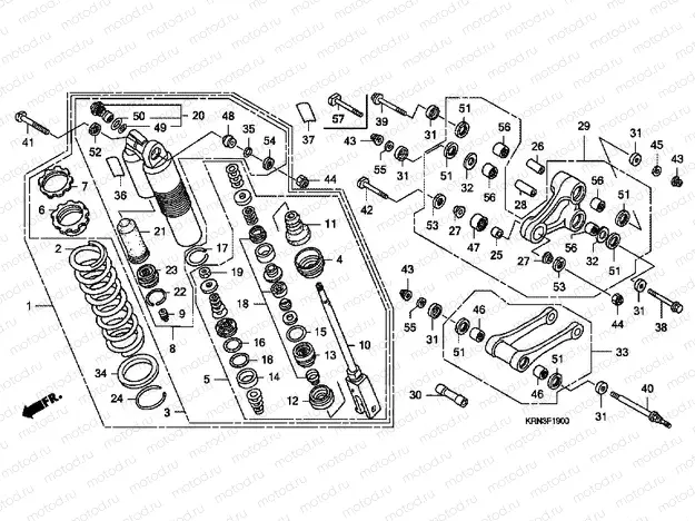 F-19 REAR SHOCK ABSORBER