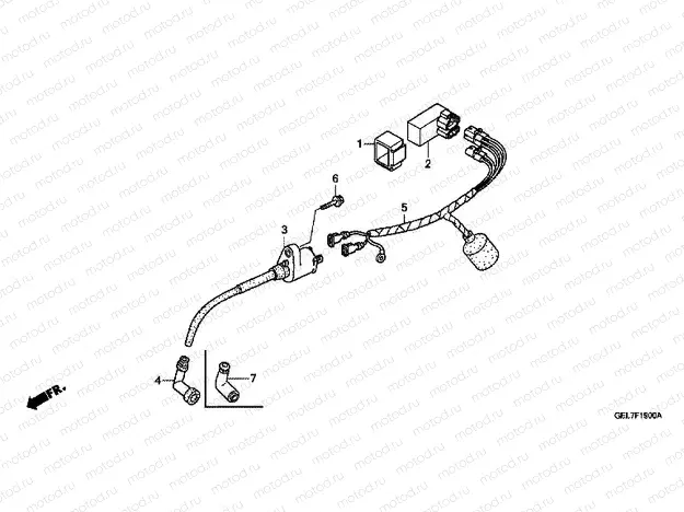 F-19 WIRE HARNESS