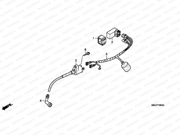 F-19 WIRING HARNESS