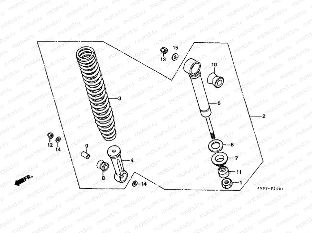 F-20-1 REAR SHOCK ABSORBER (2)