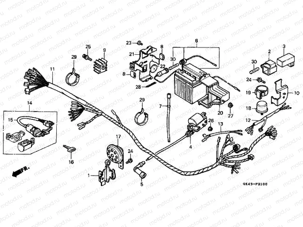 F-21 WIRING HARNESS / BATTERY (C50DF / DG)