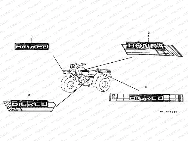 F-23-1 STRIP / LOGO (2)