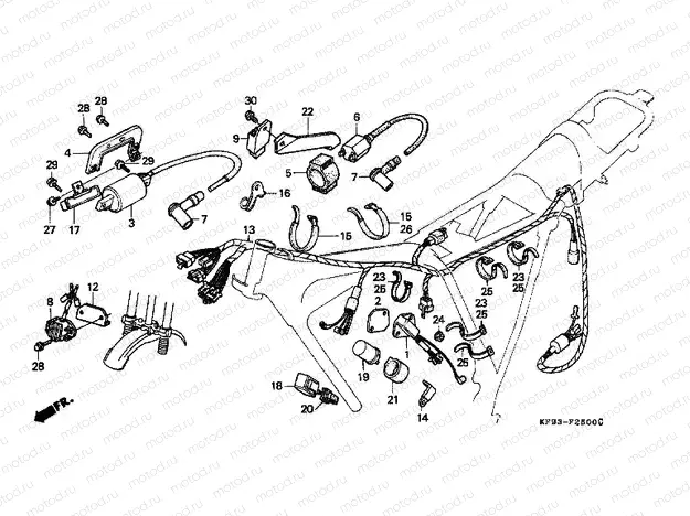 F-25 WIRING HARNESS / IGNITION COIL / C.D.I. UNIT