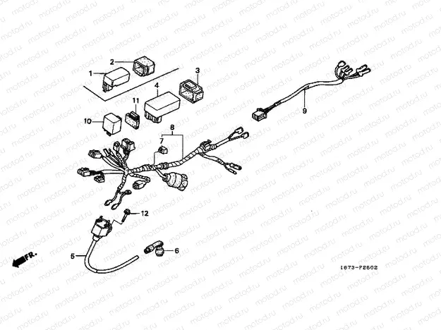 F-26-2 WIRING HARNESS / IGNITION COIL (3)
