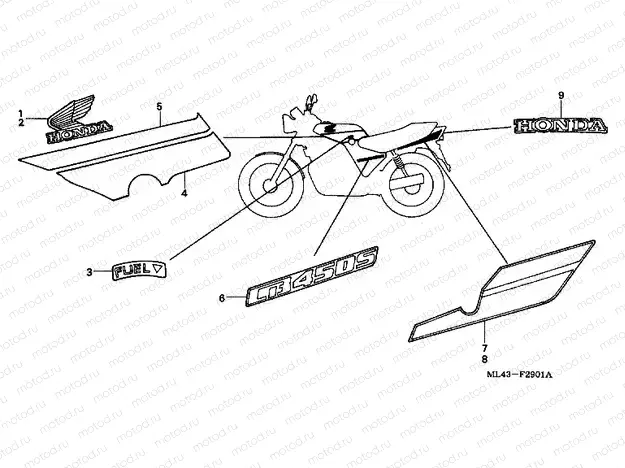 F-29-1 STRIP / SIGNAL (CB450SJ)