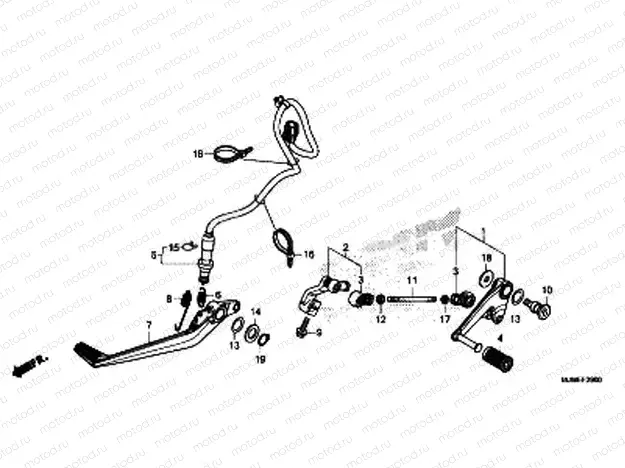 F-29 PEDAL