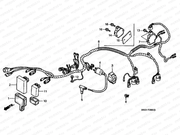 F-29 WIRING HARNESS (S)