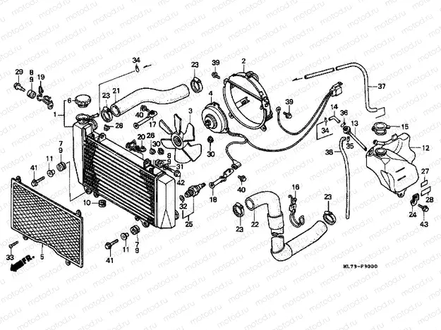 F-30 RADIATOR