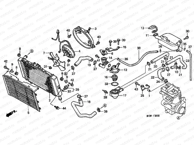 F-30 RADIATOR
