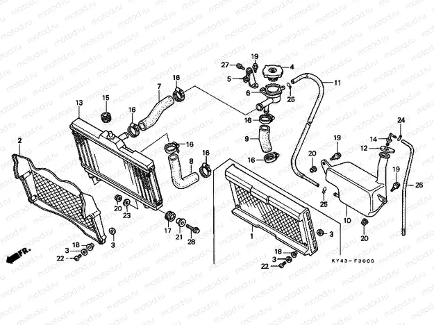 F-30 RADIATOR