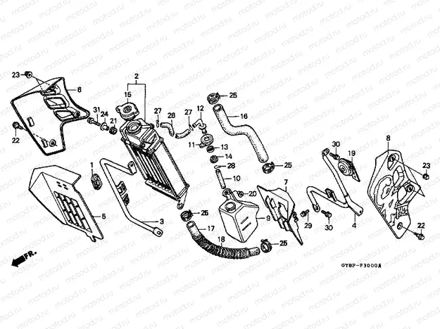 F-30 RADIATOR