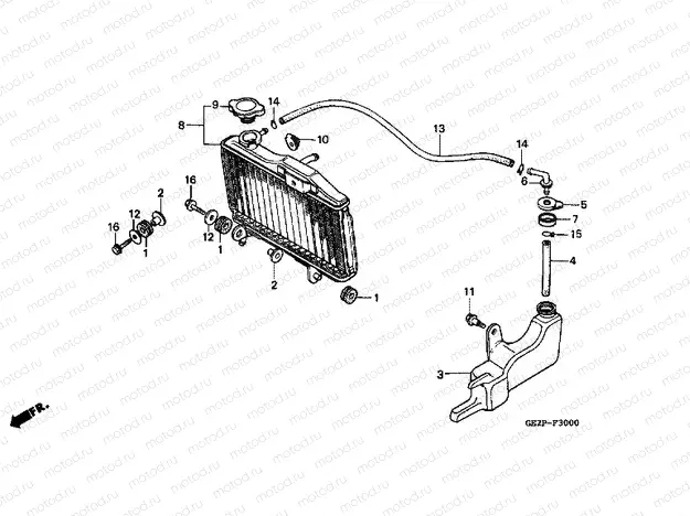 F-30 RADIATOR