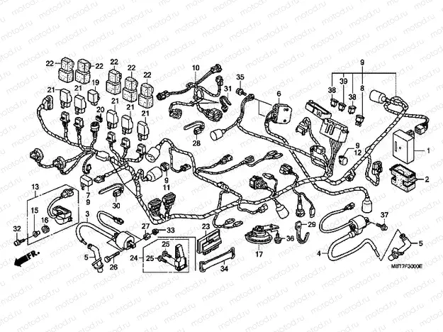 F-30 WIRING HARNESS (XL1000V)
