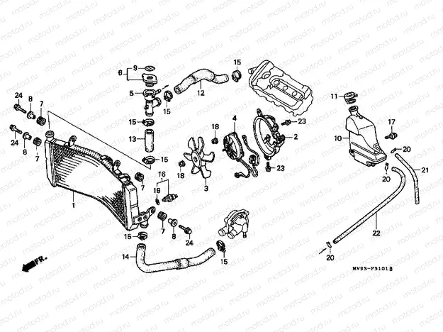 F-31-1 RADIATOR (CBR600FS / 3S / T / 3T / SET)