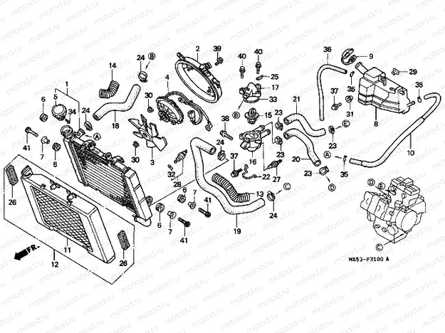 F-31 RADIATOR
