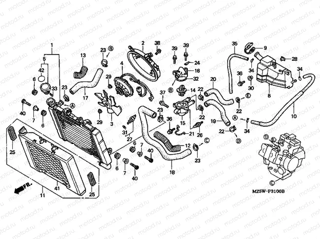 F-31 RADIATOR
