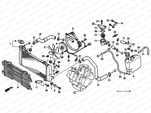 F-31 RADIATOR