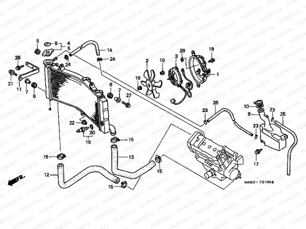F-31 RADIATOR