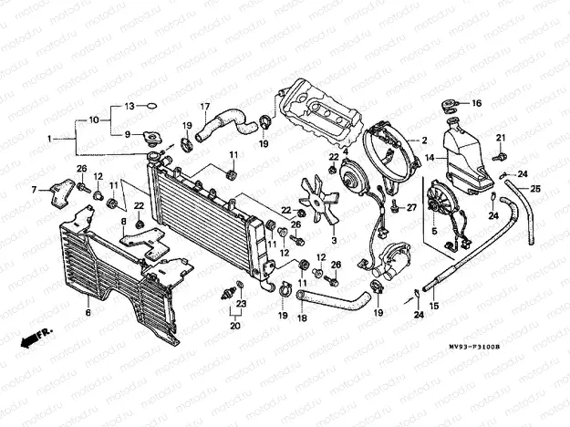F-31 RADIATOR