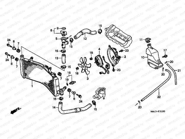 F-31 RADIATOR