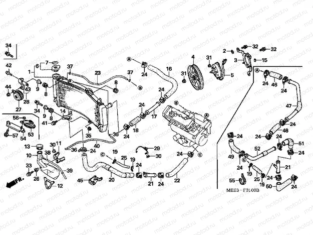 F-31 RADIATOR
