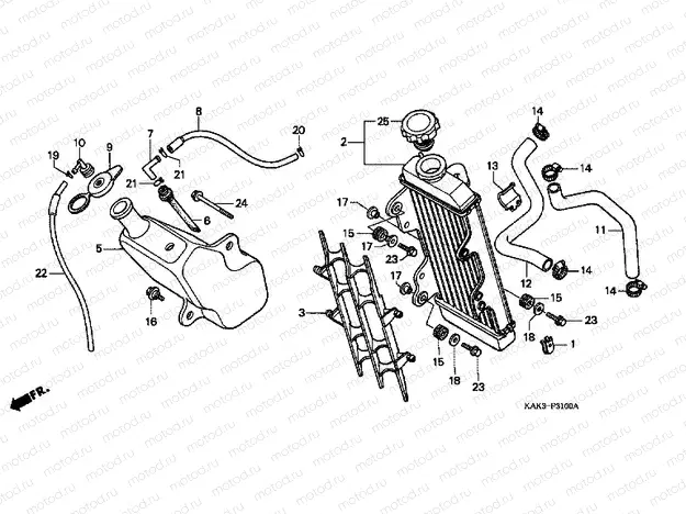 F-31 RADIATOR