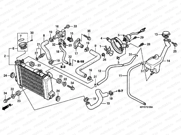F-31 RADIATOR (CBR125R / RS / RW5 / RW6 / RW8)