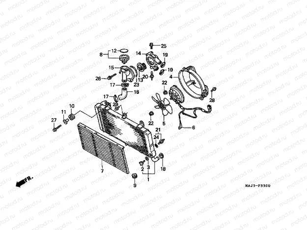 F-33 ​​RADIATOR