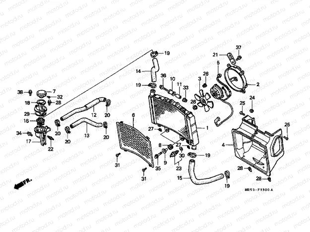 F-33 ​​RADIATOR