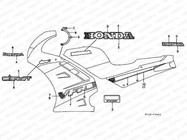 F-34-2 STRIP / SIGNAL (3) (VFR750FN)