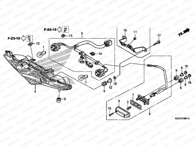 F-36-1 REAR COMBINATION LAMP (2)