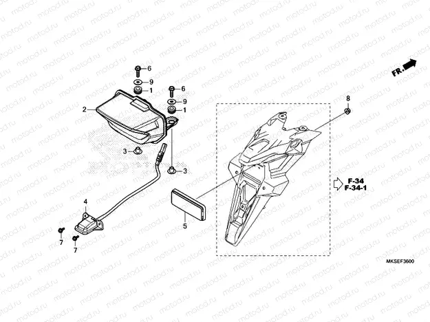 F-36 TAILLIGHT & LICENSE LIGHT