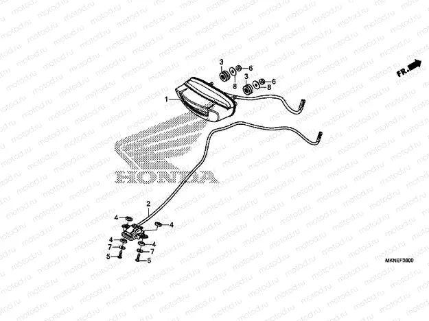 F-36 TAILLIGHT / LICENSE LIGHT