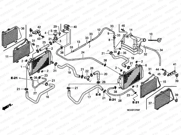 F-37 RADIATOR