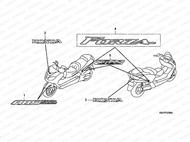 F-37 SIGN / LOGO