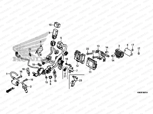 F-38-1 WIRE HARNESS (CRF250RK,L/CRF250RXK,L)