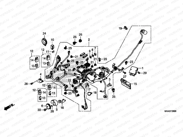 F-38 WIRE HARNESS