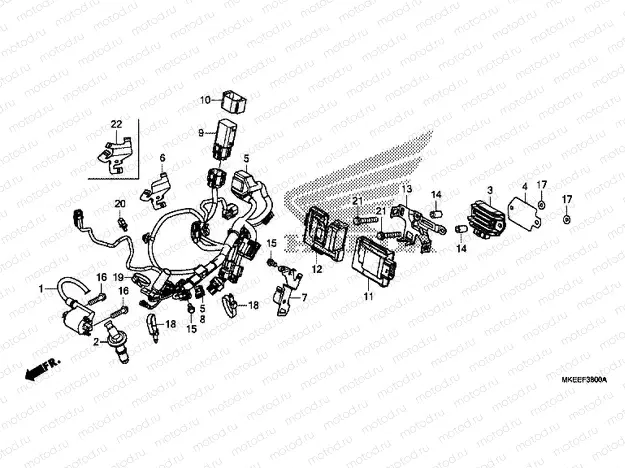 F-38 WIRE HARNESS