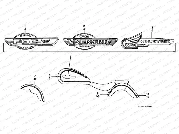 F-39 STRIP / SIGNAL (1)
