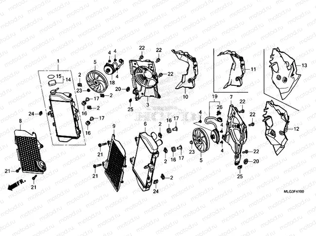 F-41 RADIATOR